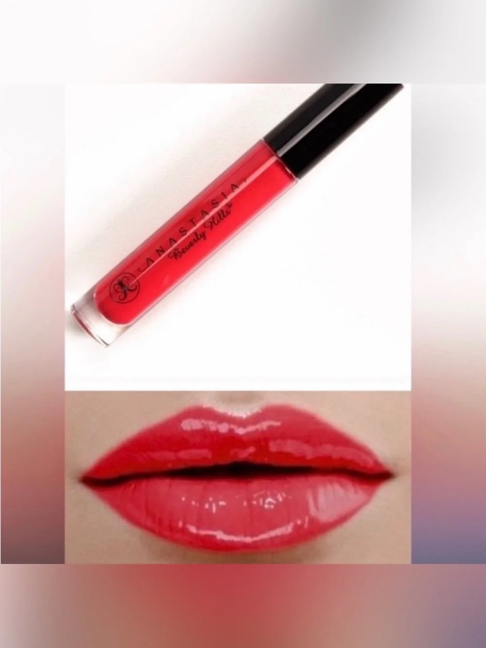2 Anastasia Beverly Hills Bundle Lipglosses in Socialite and Venom & a lip case